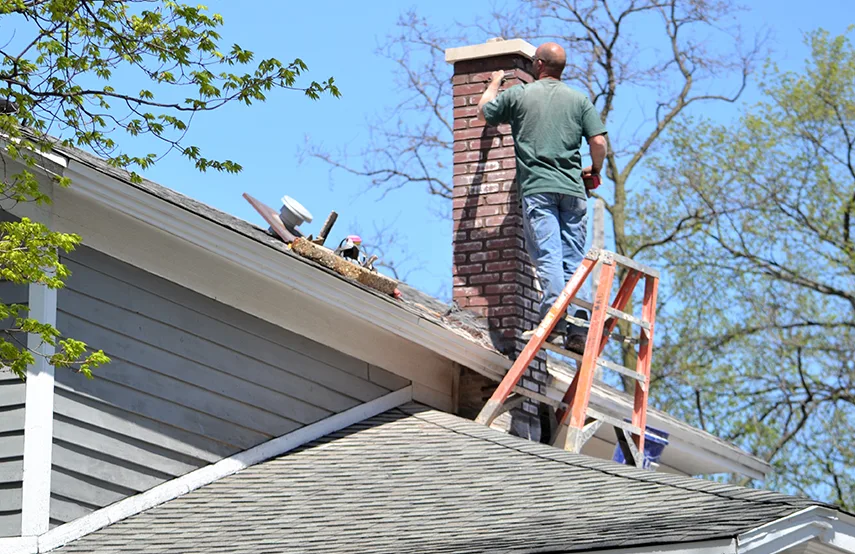 Chimney & Fireplace Inspections Services in Chester, VA